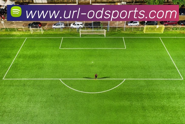 OD体育发展历程